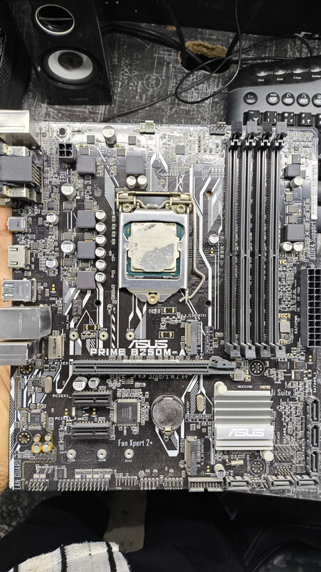 مادربورد کار کرده Asus PRIME B250M-A
